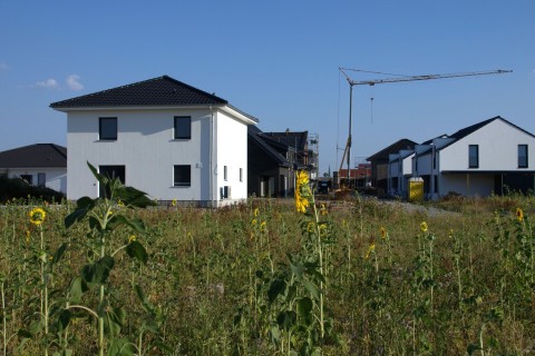 Neubaugebiet Östliche Mühlenstraße
